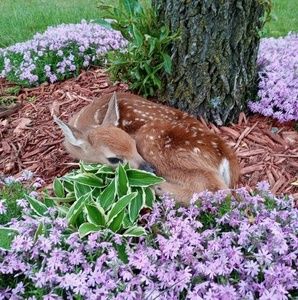 Meet your Posher, Jean